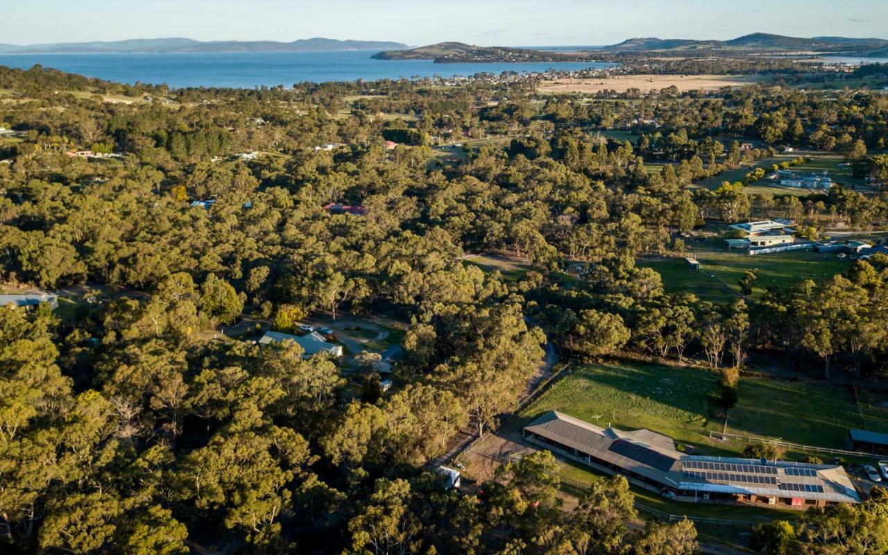 Acton Park Holiday Units Экстерьер фото